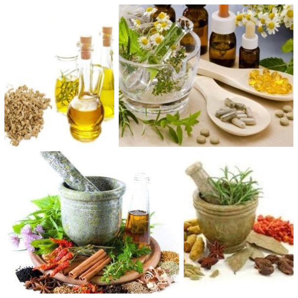 herbal extracts manufacturers in india